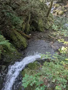 渓床の石と流れを上から撮影。