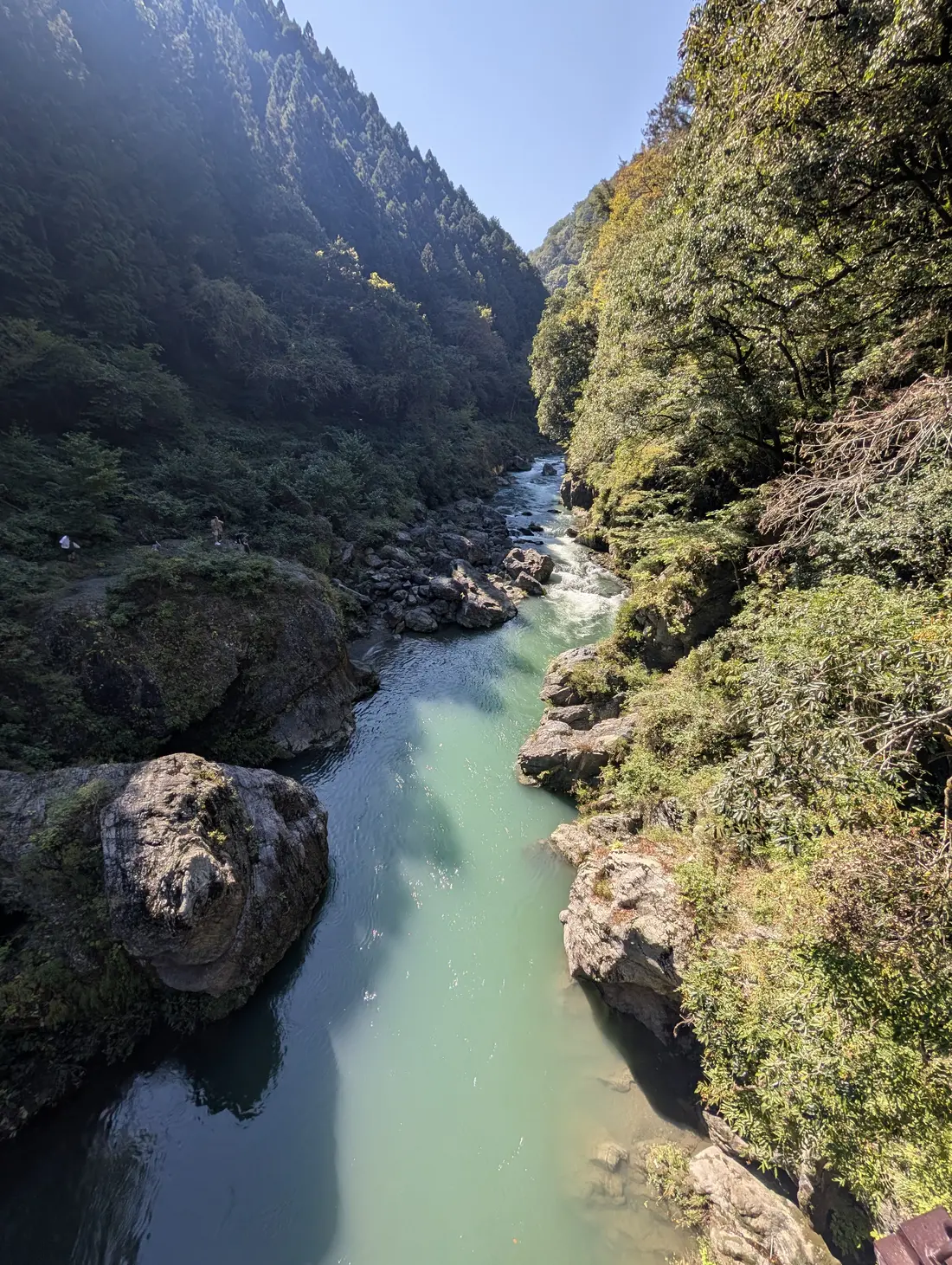 高い位置から見下ろして撮った縦構図の峡谷。エメラルドグリーンの川が画面下から遠くへ延び、両側には切り立った岩壁と森がある。