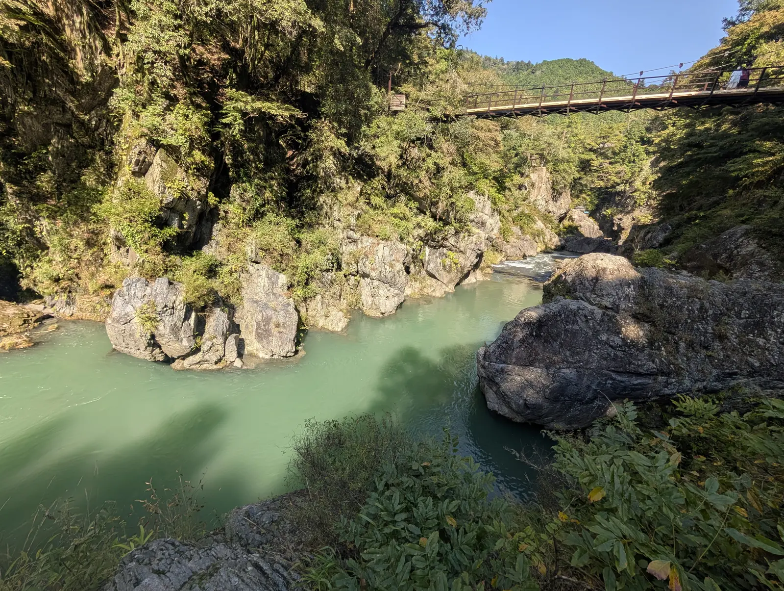 高い位置から撮った峡谷。エメラルドグリーンの川と白っぽい灰色の岩。右上の吊り橋は一部しか写っておらず、画面下端には手前の草葉が大きく入っている。