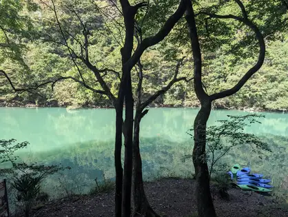 大木の枝の下の湖面。右下の岸に数艇のカヤックが置かれている。