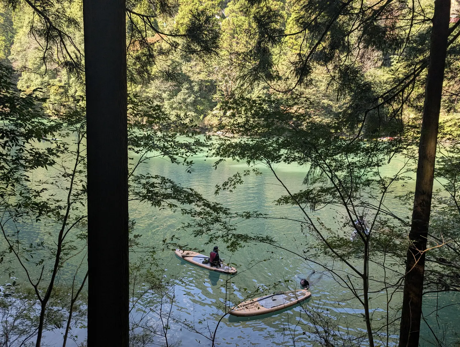 幹や枝越しに湖面の 2 枚のパドルボードを撮影。1 人はボードに膝をついてパドルを持ち、もう 1 人は空のボードの横で水に入っている。画面左側を太い幹が縦に横切っている。